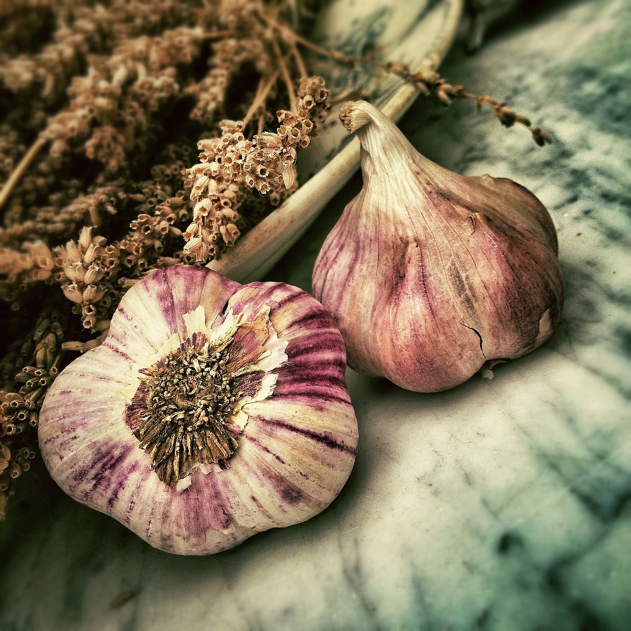aged garlic